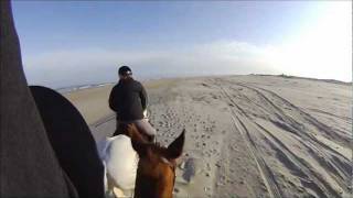 preview picture of video 'Galloping on the Beach with a Helmet Cam'