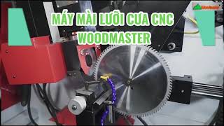 MÁY MÀI LƯỠI CƯA ĐĨA CNC WM-800GC | mài lưỡi chưa đa góc độ | Woodmaster