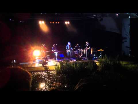 Spinvis - Het voordeel van video