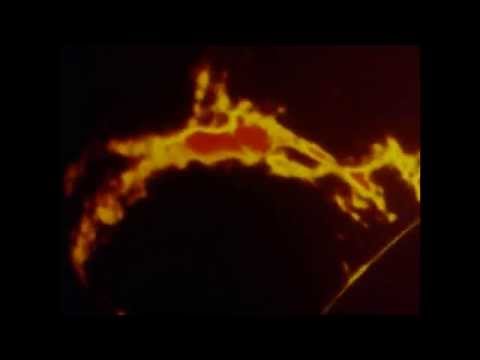 Alien - Azot Pain Killer