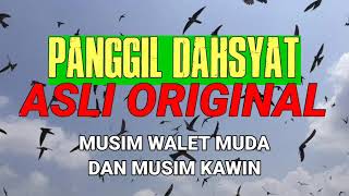 Download lagu Panggil Dahsyat mp3