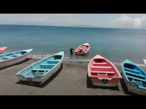 FISH4ACP – Unlocking the potential of fisheries and aquaculture on Small Island Developing States