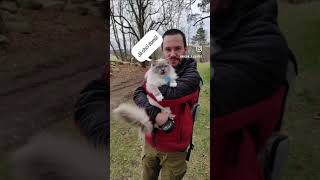 Video 2
