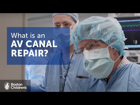 AV Canal Repair | Boston Children’s Hospital