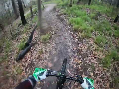 Nerang State Forest MTB Trails Riding on the Charger VLOG 5