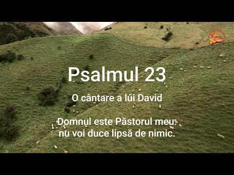Psalmul 23