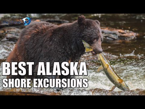 Best Alaska Cruise Excursions at Your Ports of Call in Alaska - The Planet D Alaska Vlog