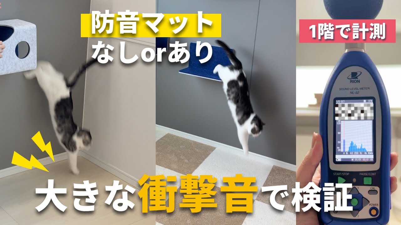 【上下階で防音マットの検証】猫の飛び降り音・走る音は下の階にどう響く？