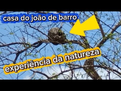 CASA DO JOÃO DE BARRO NO SERTÃO DO CEARÁ EXPERIÊNCIA PARA O INVERNO