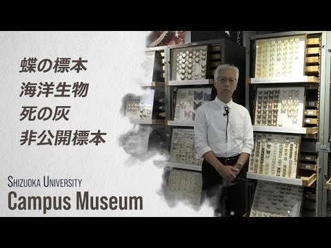 言語文化学科 静岡大学キャンパスミュージアム2