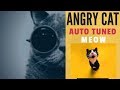 Angry Cat Auto Tuned Meow Sound Effect