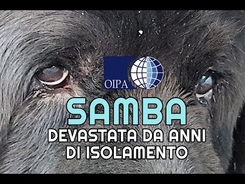 Leczema che ha la possibilità di trattare i rimedi di gente Leczema sulle dita di una mano fa la pelle scoppiare