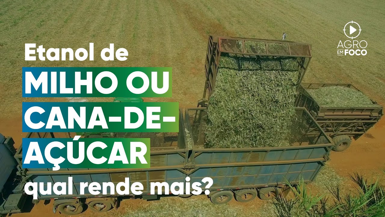 A produção de etanol de milho e cana-de-açúcar no Paraguai -  Programa #90 - Agro Em Foco