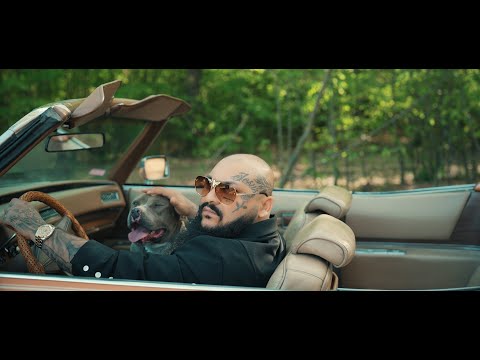 Dani Mocanu - Marș | Official Video