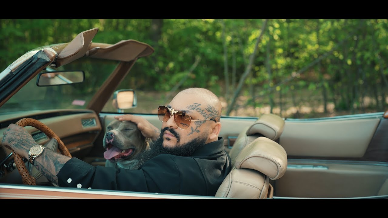 Dani Mocanu - Marș | Official Video