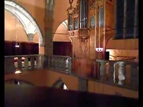 comment soigner orgelet