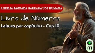 NÚMEROS 10 | Quando Deus Dá o Sinal | As Trombetas e a Direção de Deus | Bíblia Narrada Voz Humana