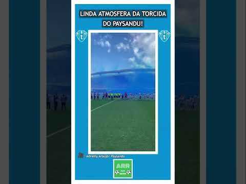 QUE FESTA da TORCIDA do PAYSANDU! 🤯🤩 #torcida #festa #paysandu #futebol #futebolbrasileiro #shorts
