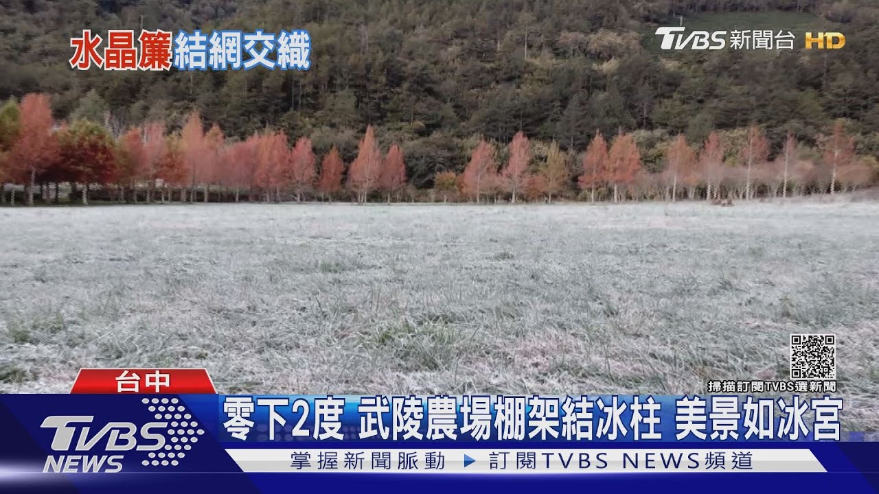 零下2度　武陵農場棚架結冰柱美景如冰宮