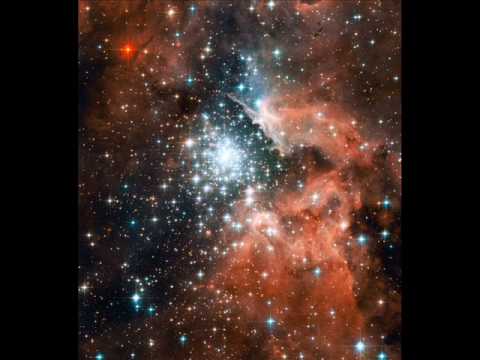 Inkfish - Acting Out