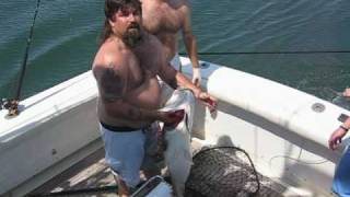 preview picture of video 'Monster Rock in the Chesapeake Bay'