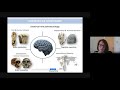Dr Amelie Beaudet Brain And Behavior Seminar Early Hominin Brain Evolution
