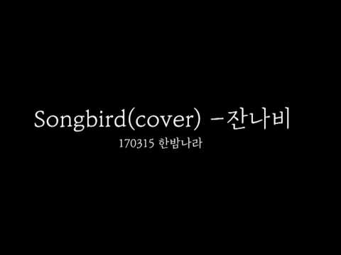 170315 한밤나라  Songbird -잔나비(JANNABI)