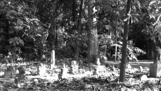 "Fear'' (School project)