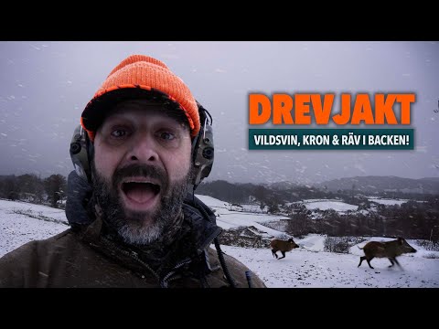 Drevjakt i snöstorm! | Jakt är Jakt