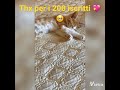 Thx Per I 200 Iscritti