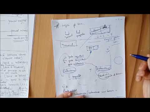 01 Recapitulare - Termenii