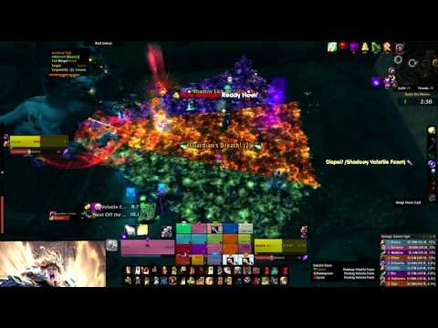 Attain it vs Guarm Mythic Holy Paladin PoV