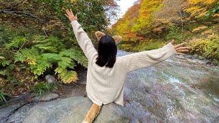 知床清里町ウエネウサルみどり