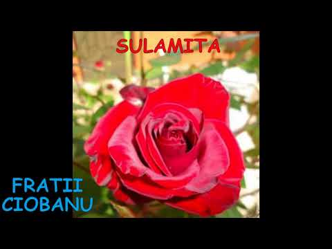Fratii Ciobanu - Sulamita