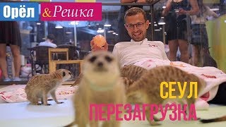 Аккумулятор лодочный южная корея