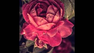 Nathan Lanier - Resolve