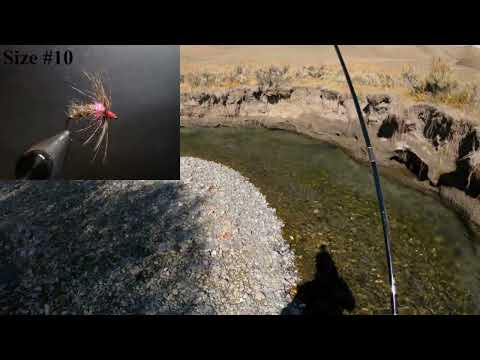 529. 22. September 2025 (Tenkara-Fliegenfischen)