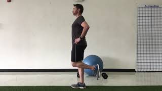 Balance Single leg squat touchdown