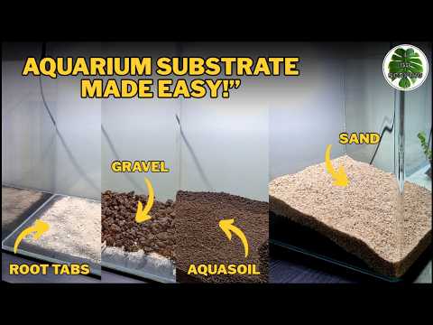 How to Build Aquarium Substrate | Beginner’s Guide
