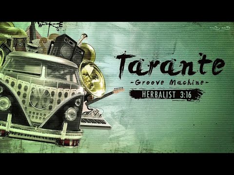 Tarante Groove Machine Ft Malabi Tropical   Babylon