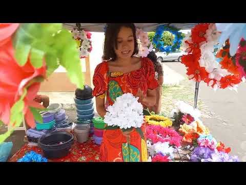 Barraca das flores , Buriti Bravo/ Ma