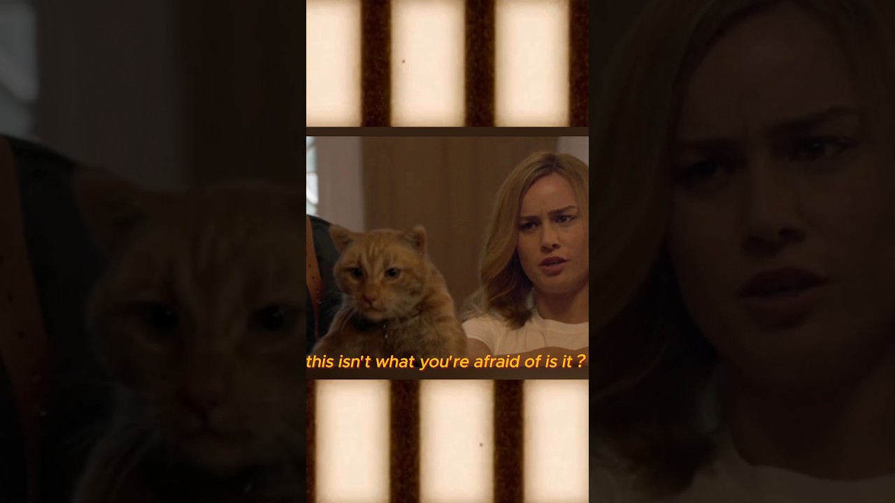 That’s not a cat!that’s a Flerken #marvel #shorts #captainmarvel