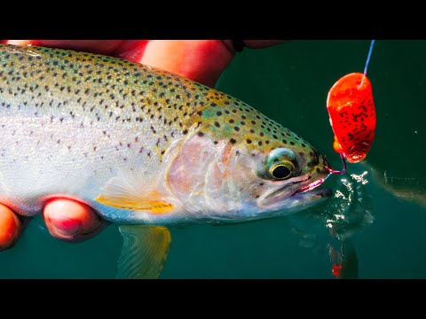 5 PROVEN Setups For Catching Summertime TROUT In Rivers & LAKES!!