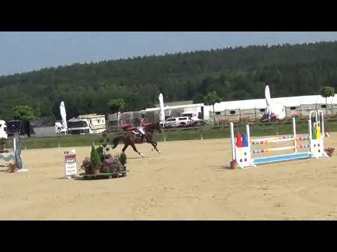 Cascadello Deluxe  Sportpferde Wiederer