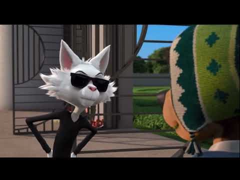 Bodi’s In your closet