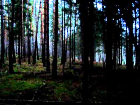 Die Landsknechttrommel - Absurd