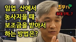 임업, 산에서 농사 지을 때 보조금 받는 방법과 팁