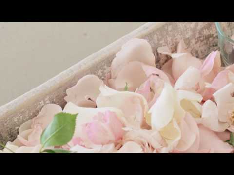 Aleshia Marie Luxury Spa Experience