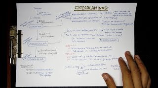 CATECOLAMINAS: Dopamina Noradrenalina Adrenalina