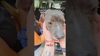 I Bought My Girlfriend Her Dream Dog #couple #couplegoal #dog #iloveher #doglife